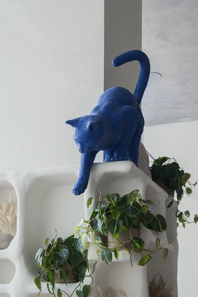 Blue Cat: кофе и котики