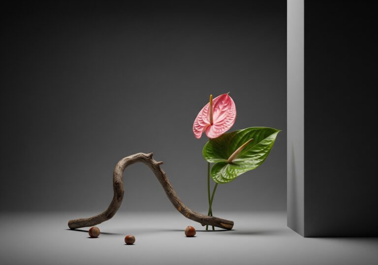 TopDesign Magazine